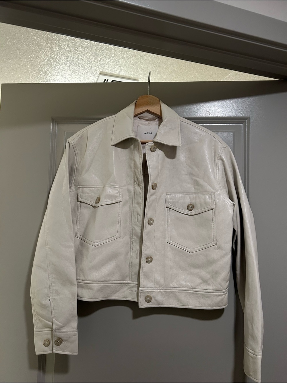 Aritzia Jacket